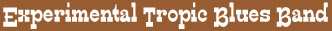 ExperimentalTropicBluesBand