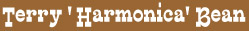 TerryHarmonicaBean