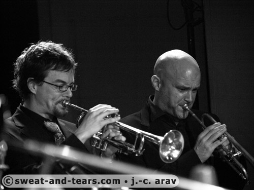 Megapteraband_090301_132