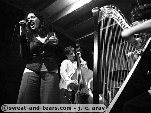 Orioxy4tet_090430_037