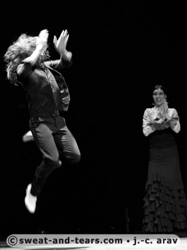 AlbaLucera_100130_080