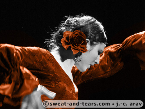 AlbaLucera_100130_137