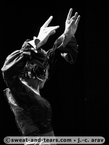 AlbaLucera_100130_160