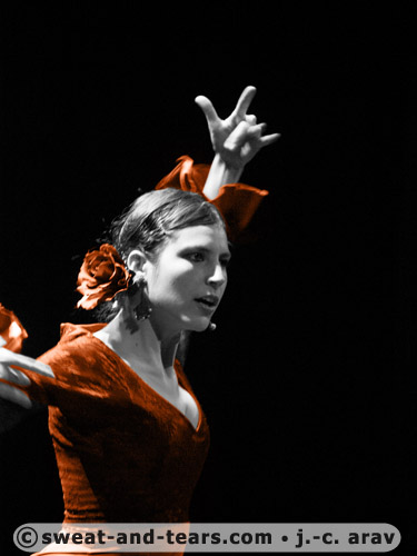 AlbaLucera_100130_165