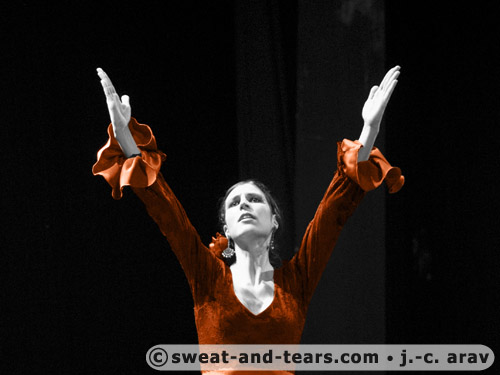 AlbaLucera_100130_223