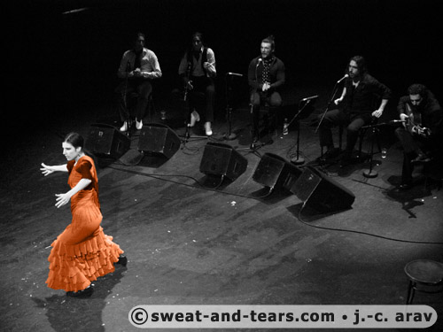 AlbaLucera_100130_327