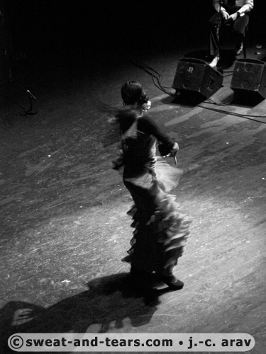 AlbaLucera_100130_337