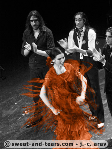 AlbaLucera_100130_489