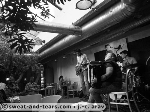 Holunderbluten_100527_002