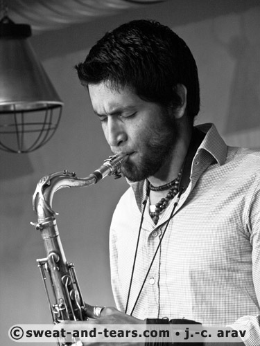 Holunderbluten_100527_012