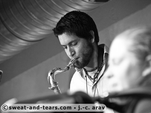 Holunderbluten_100527_018