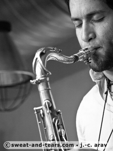 Holunderbluten_100527_024