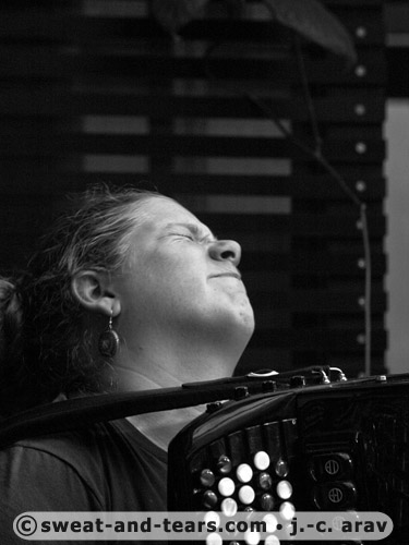 Holunderbluten_100527_041