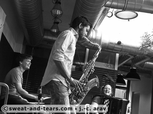 Holunderbluten_100527_054