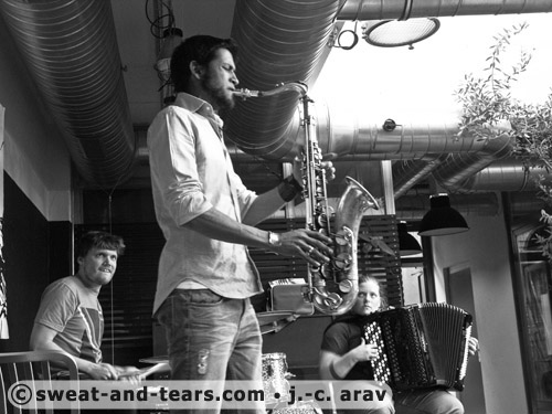 Holunderbluten_100527_059