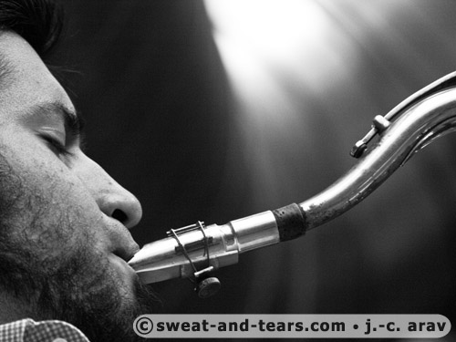 Holunderbluten_100527_084