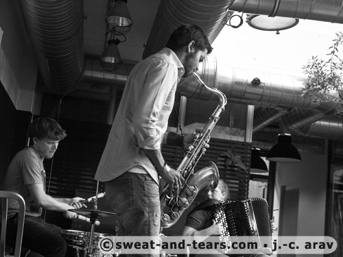 Holunderbluten_100527_092