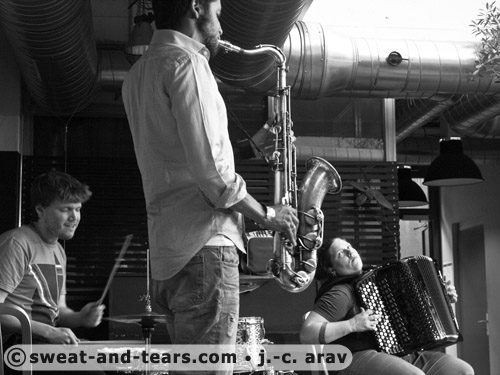 Holunderbluten_100527_100