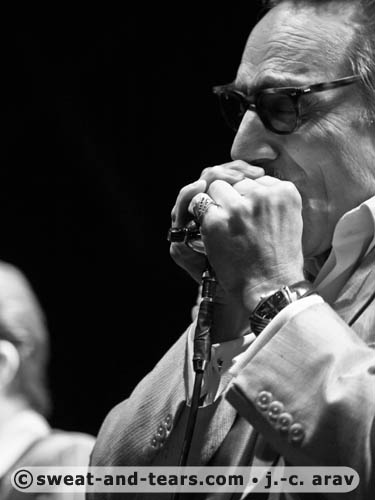 RickEstrinNightCats_100827_410