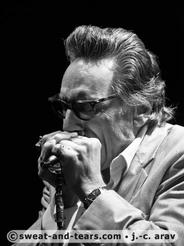 RickEstrinNightCats_100827_435