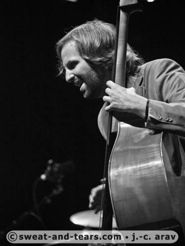 RickEstrinNightCats_100827_488