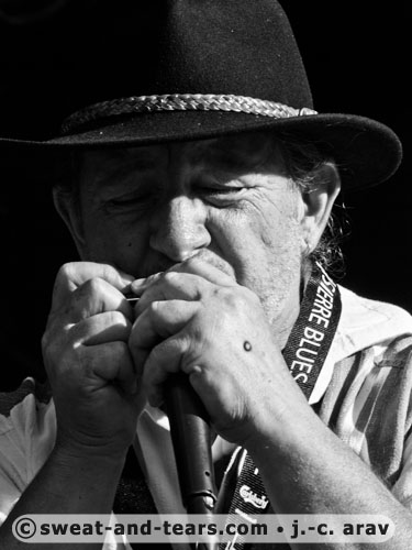 Bluecerne_100828_253