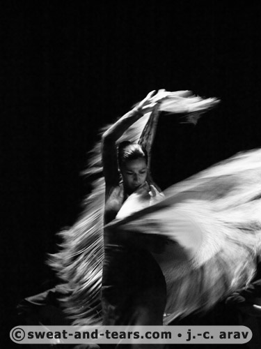 Campalleria_110203_013