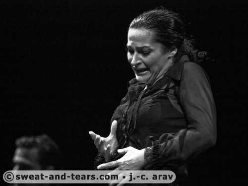 Campalleria_110203_290