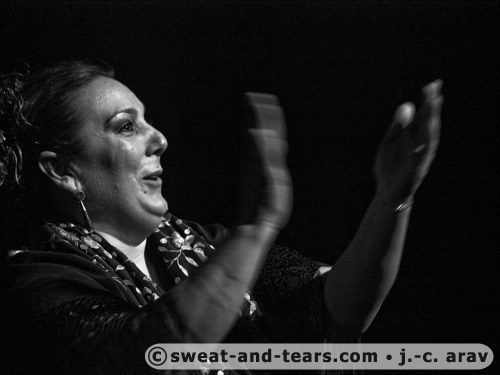 ACincoVoces_110204_305