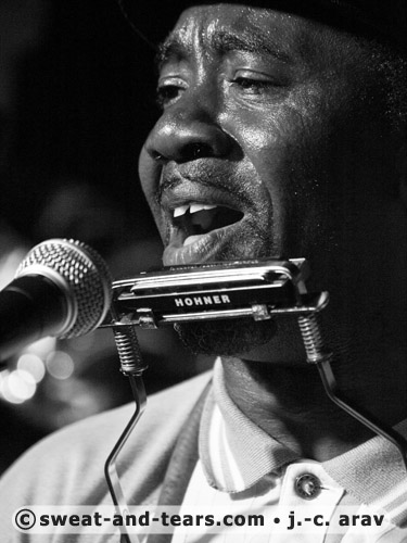 TerryHarmonicaBeans_110331_058